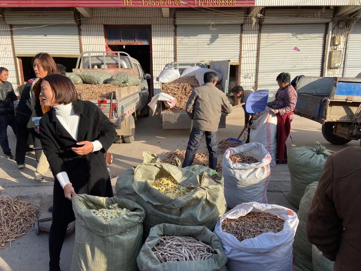 药材批发交易平台哪个好一点